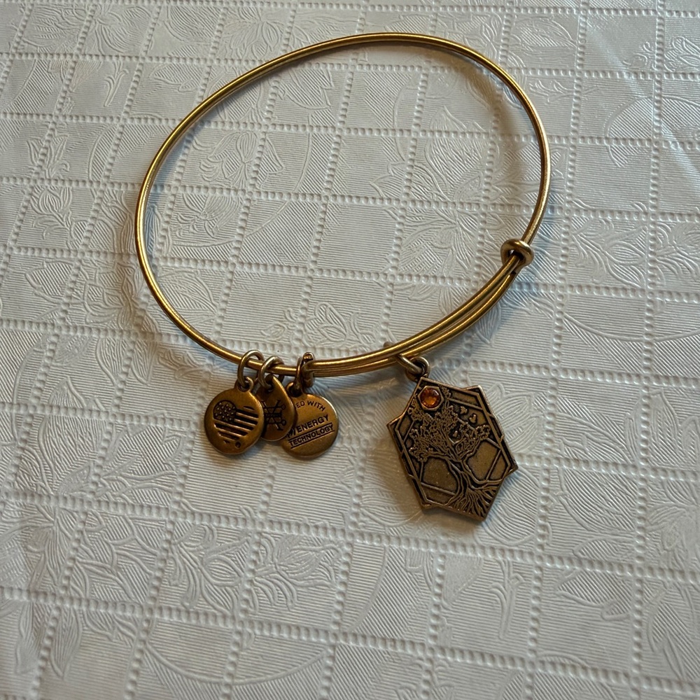 Alex and Ani Tree of Life Bracelet
